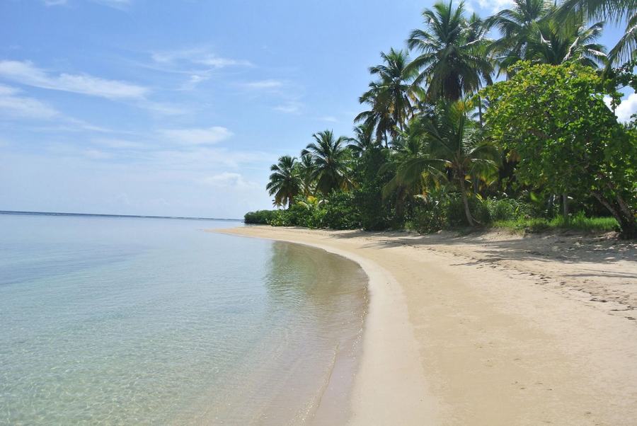 Calm-water beach fronting the complex, with pale sand and coconut palms