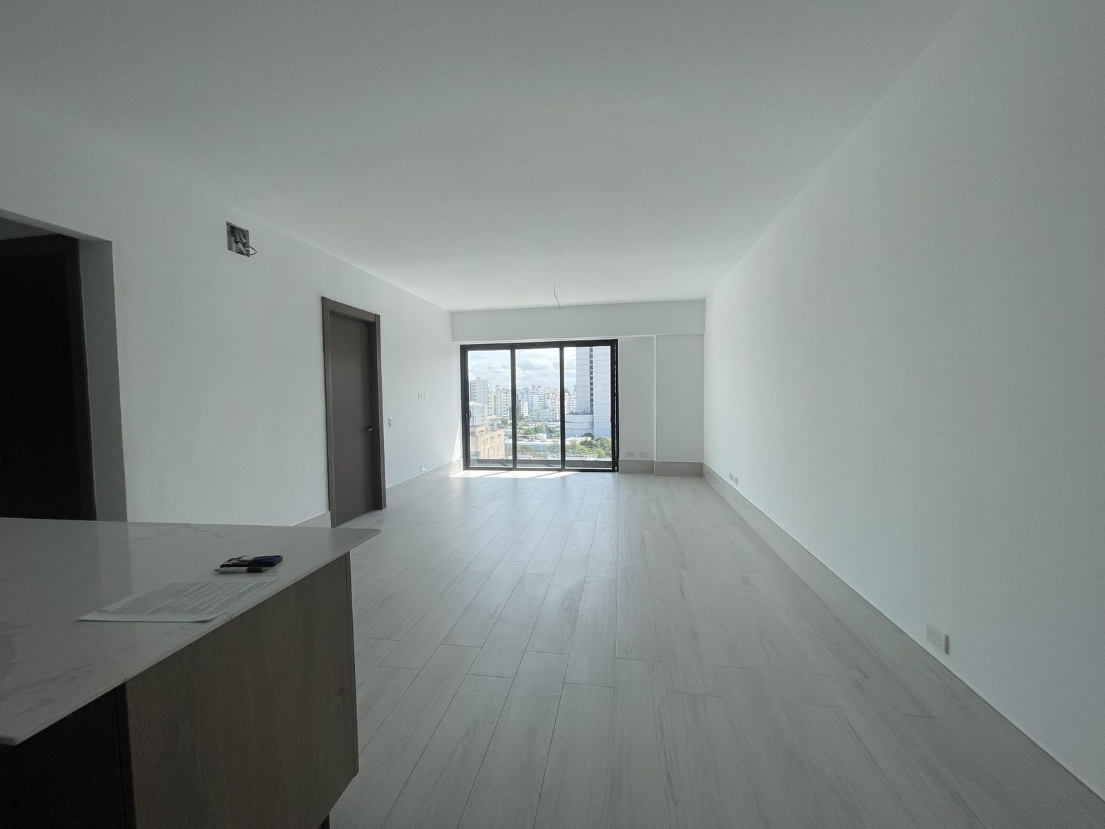 Apartment in Piantini — photo 4 of 5